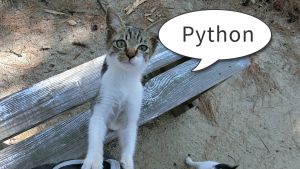 「Python の Newspaper3k ライブラリ」のイメージ